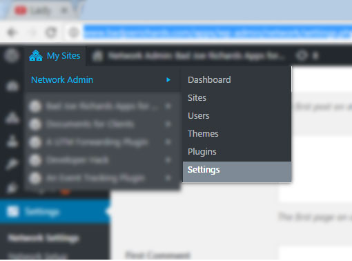 Wordpress Network Admin Settings
